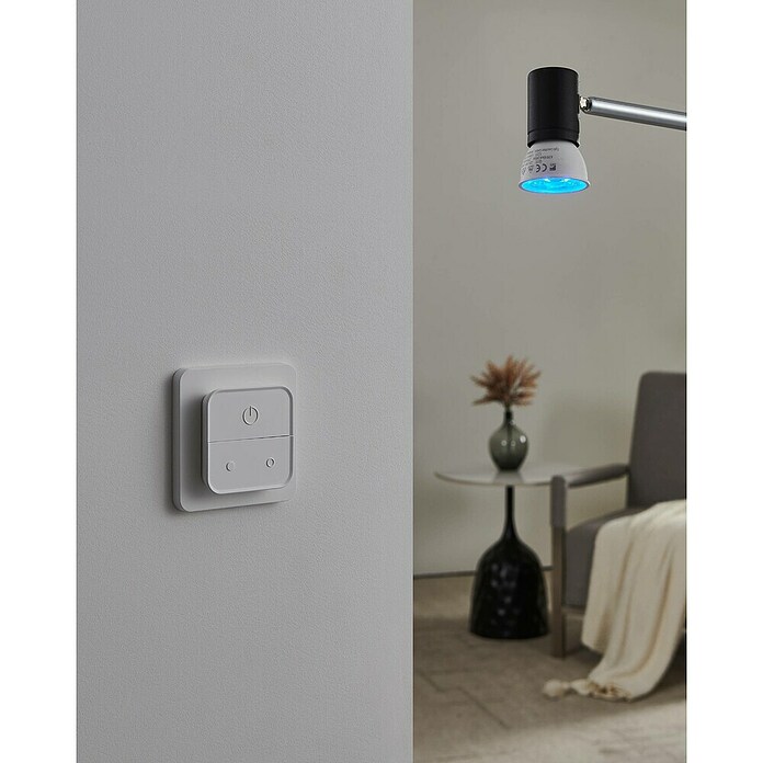 Eglo connect.z Ledlichtbron Set (4,9 W, 345 lm) | BAUHAUS