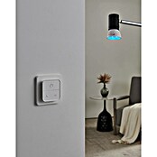 Eglo connect.z Ledlichtbron Set (4,9 W, 345 lm) | BAUHAUS