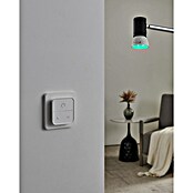 Eglo connect.z Ledlichtbron Set (4,9 W, 345 lm) | BAUHAUS