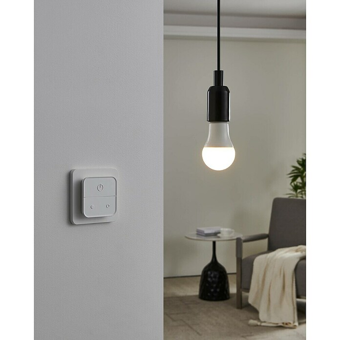 Eglo connect.z Ledlichtbron Startpakket A60 met schakelaar (9 W, 806 lm) | BAUHAUS