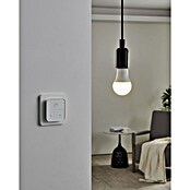 Eglo connect.z Ledlichtbron Startpakket A60 met schakelaar (9 W, 806 lm) | BAUHAUS