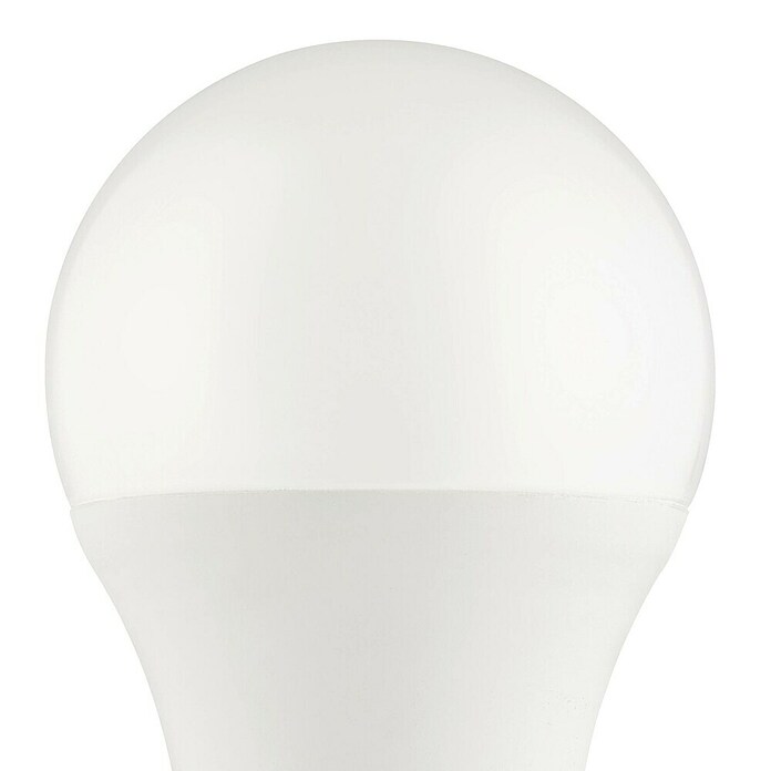 Eglo connect.z Ledlichtbron Startpakket A60 met schakelaar (9 W, 806 lm) | BAUHAUS