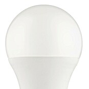 Eglo connect.z Ledlichtbron Startpakket A60 met schakelaar (9 W, 806 lm) | BAUHAUS