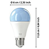 Eglo connect.z Ledlichtbron Startpakket A60 met schakelaar (9 W, 806 lm) | BAUHAUS