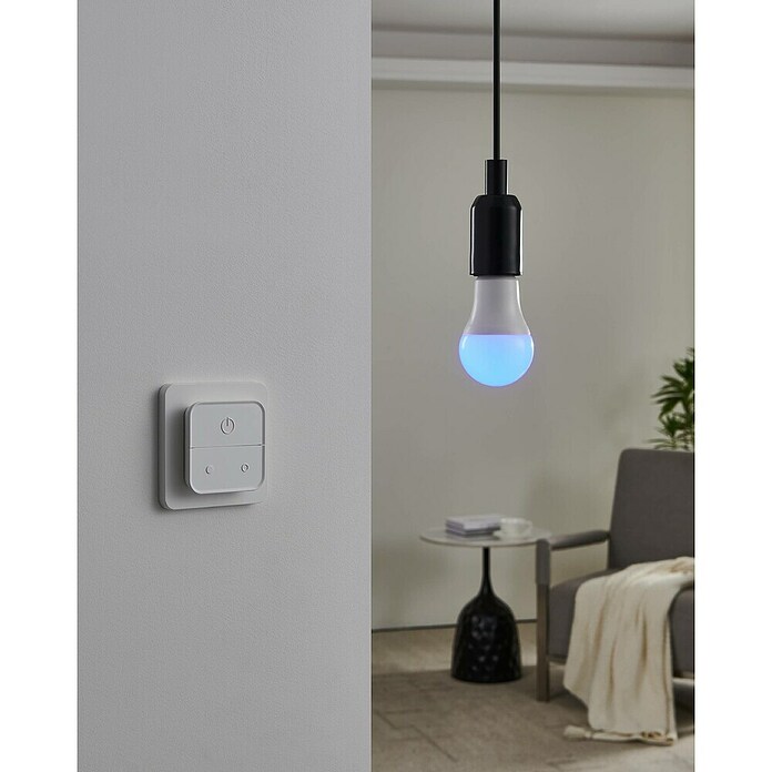 Eglo connect.z Ledlichtbron Startpakket A60 met schakelaar (9 W, 806 lm) | BAUHAUS