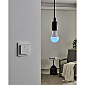 Eglo connect.z Ledlichtbron Startpakket A60 met schakelaar (9 W, 806 lm) | BAUHAUS