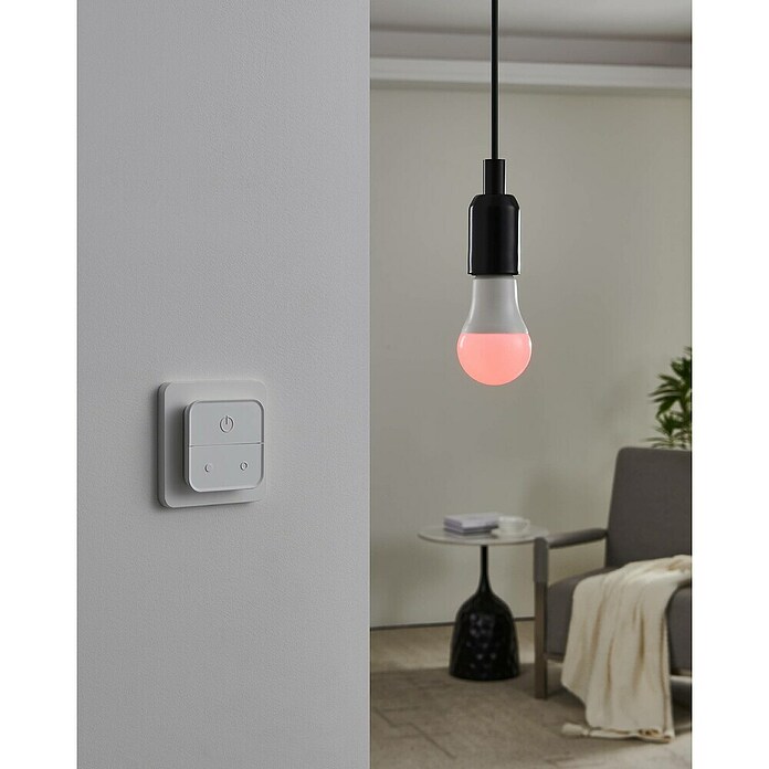 Eglo connect.z Ledlichtbron Startpakket A60 met schakelaar (9 W, 806 lm) | BAUHAUS