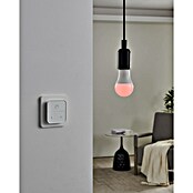 Eglo connect.z Ledlichtbron Startpakket A60 met schakelaar (9 W, 806 lm) | BAUHAUS