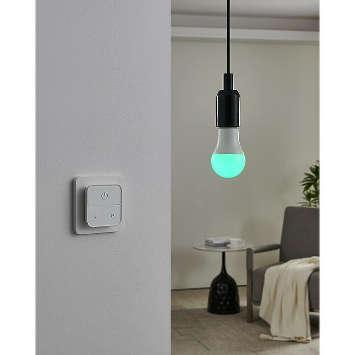 Eglo connect.z Ledlichtbron Startpakket A60 met schakelaar (9 W, 806 lm) | BAUHAUS