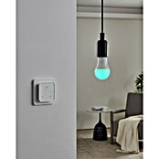 Eglo connect.z Ledlichtbron Startpakket A60 met schakelaar (9 W, 806 lm) | BAUHAUS