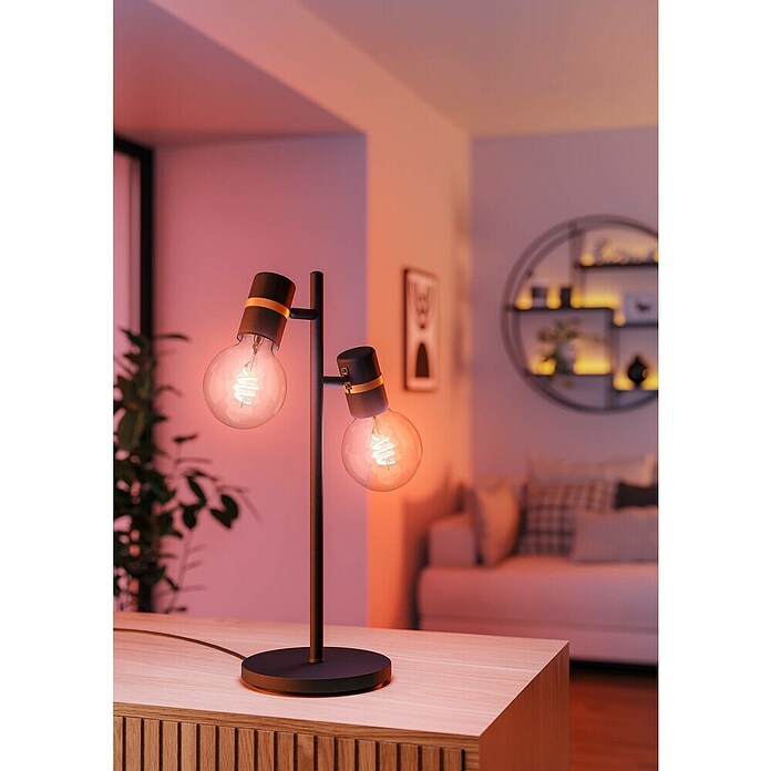 Eglo connect.z LED žarulja G95 RGB CCT  (4,9 W, 400 lm) | BAUHAUS
