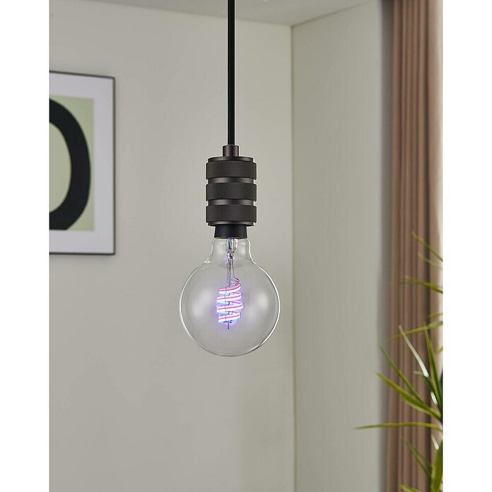 Eglo connect.z LED žarulja G95 RGB CCT  (4,9 W, 400 lm) | BAUHAUS