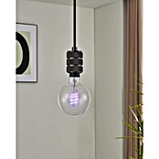 Eglo connect.z LED žarulja G95 RGB CCT  (4,9 W, 400 lm) | BAUHAUS