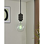 Eglo connect.z LED žarulja G95 RGB CCT  (4,9 W, 400 lm) | BAUHAUS