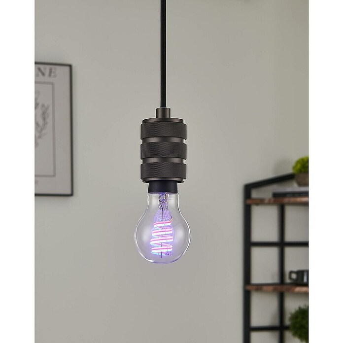 Eglo connect.z Smart-ledlamp (E27, Dimbaar, RGBW, 5 W, 400 lm, A60, 1 st.) | BAUHAUS