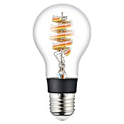 Eglo connect.z Smart-ledlamp (E27, Dimbaar, RGBW, 5 W, 400 lm, A60, 1 st.) | BAUHAUS