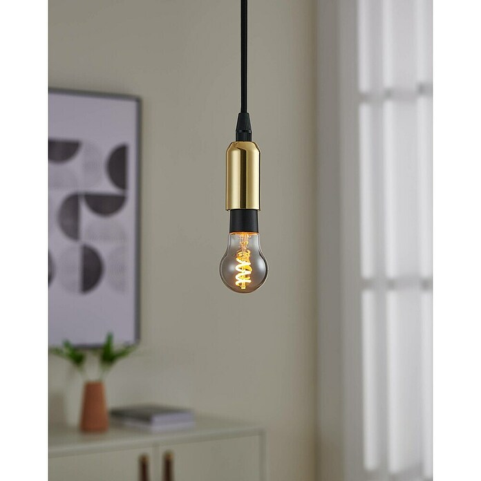 Eglo connect.z Ledlichtbron (4 W, 150 lm) | BAUHAUS
