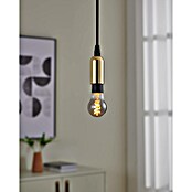 Eglo connect.z Ledlichtbron (4 W, 150 lm) | BAUHAUS