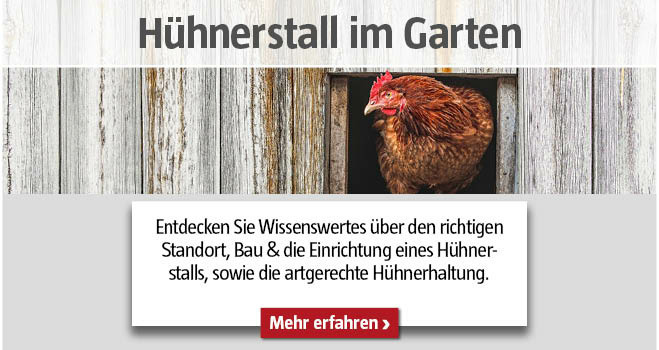 Hühnerstall