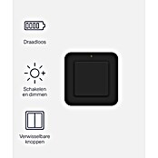 KlikAanKlikUit Draadloze wandschakelaar AWST-9000Z (Reikwijdte: 30 m, Passend bij: Smart Bridge / Internet Control Station ICS-2000, Start-line ontvangers) | BAUHAUS