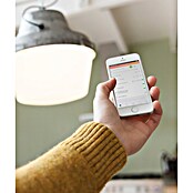 KlikAanKlikUit Smart Hub Smart Bridge (Zwart, Geschikt voor Smart Home: Ja) | BAUHAUS