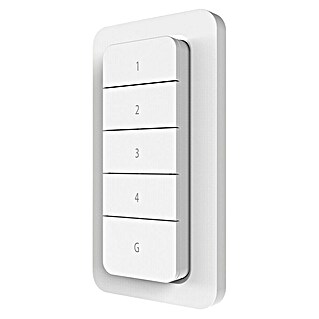 KlikAanKlikUit Wandafstandsbediening AYCT-303 (l x b x h: 1,5 x 6 x 11 cm, Wit)