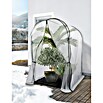 Windhager Winterschutzzelt Mediterraneo (120 x 120 x 180 cm, Gitterfolie) | BAUHAUS
