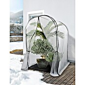 Windhager Winterschutzzelt Mediterraneo (120 x 120 x 180 cm, Gitterfolie) | BAUHAUS