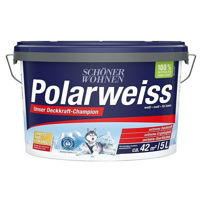 Schöner Wohnen Wandfarbe Polarweiß (Weiß, 5 l, Matt)
