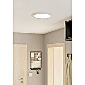 Eglo Fueva 5 Led-plafondlamp, rond Wit (Ø x h: 28,5 x 2,8 cm, Warm wit) | BAUHAUS