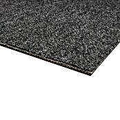 Teppichfliese Vienna (50 x 50 cm, Schlinge, 100 % Polypropylen, Anthrazit) | BAUHAUS
