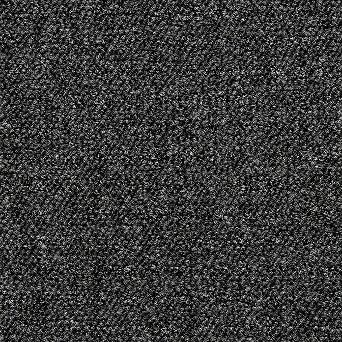 Teppichfliese Vienna (50 x 50 cm, Schlinge, 100 % Polypropylen, Anthrazit) | BAUHAUS