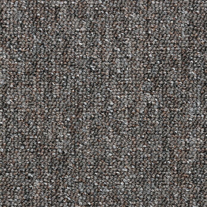 Teppichfliese Solid (50 x 50 cm, Schlinge, 100 % Polyamid SDN, Braun) | BAUHAUS