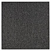 Teppichfliese Vienna (50 x 50 cm, Schlinge, 100 % Polypropylen, Anthrazit) | BAUHAUS