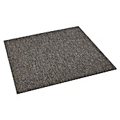 Teppichfliese Solid (50 x 50 cm, Schlinge, 100 % Polyamid SDN, Braun) | BAUHAUS