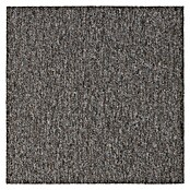 Teppichfliese Solid (50 x 50 cm, Schlinge, 100 % Polyamid SDN, Braun) | BAUHAUS