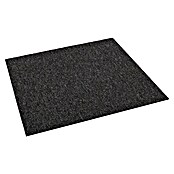 Teppichfliese Solid (50 x 50 cm, Schlinge, 100 % Polyamid SDN, Anthrazit) | BAUHAUS
