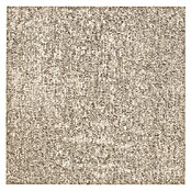 Teppichfliese Explore (50 x 50 cm, Schlinge, 100 % Polypropylen, Sand) | BAUHAUS