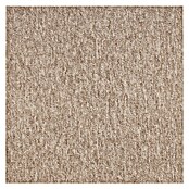 Teppichfliese Vienna (Schlinge, 100 % Polypropylen, Beige) | BAUHAUS