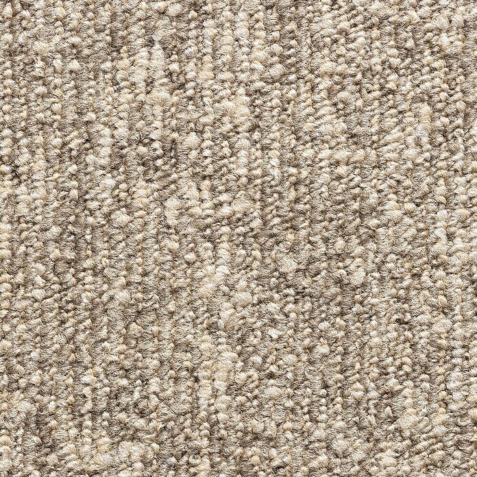 Teppichfliese Explore (50 x 50 cm, Schlinge, 100 % Polypropylen, Sand) | BAUHAUS