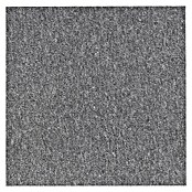 Teppichfliese Vienna (50 x 50 cm, Schlinge, 100 % Polypropylen, Mittelgrau) | BAUHAUS