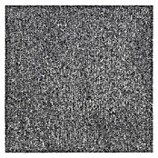 Teppichfliese Explore (50 x 50 cm, Schlinge, 100 % Polypropylen, Basalt) | BAUHAUS