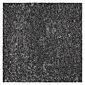 Teppichfliese Explore (50 x 50 cm, Schlinge, 100 % Polypropylen, Metal) | BAUHAUS
