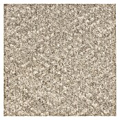 Teppichfliese Realise (50 x 50 cm, Schlinge, 100 % Polypropylen, Sand) | BAUHAUS
