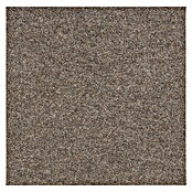 Teppichfliese Sprinter (50 x 50 cm, Nadelfilz, 80 % Polypropylen, 20 % recyceltes PET, Schokobraun) | BAUHAUS