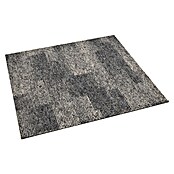Teppichfliese Santo (50 x 50 cm, Schlinge, 100 % Polypropylen, Greige) | BAUHAUS