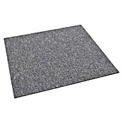 Teppichfliese Vienna (50 x 50 cm, Schlinge, 100 % Polypropylen, Mittelgrau) | BAUHAUS