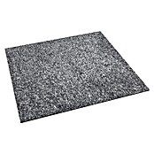 Teppichfliese Explore (50 x 50 cm, Schlinge, 100 % Polypropylen, Basalt) | BAUHAUS