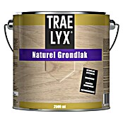 Parketprimer (2,5 l, Kleurloos) | BAUHAUS