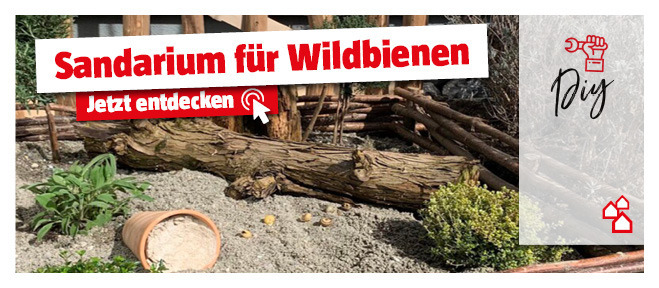 DIY Sandarium für Wildbienen